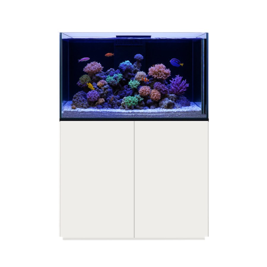 Mořská akvária RK REEF na klíč